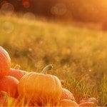 TFO - Table for One Ministries- Ministry for Singles and Leaders to Singles - Blog - Halloween NOT Harvest