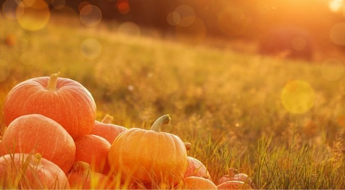 TFO - Table for One Ministries- Ministry for Singles and Leaders to Singles - Blog - Halloween NOT Harvest